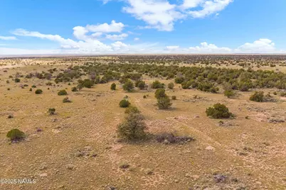 3697 E South Rim Ranch Road #C, Williams, AZ 86046 - Photo 36