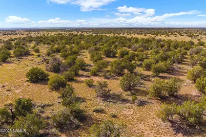 3697 E South Rim Ranch Road #C, Williams, AZ 86046 - Photo 46