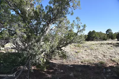 883 S Kenwood Street, Williams, AZ 86046 - Photo 6