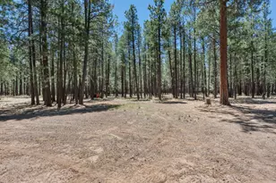 3548 W Kiltie Loop, Flagstaff, AZ 86005 - Photo 40