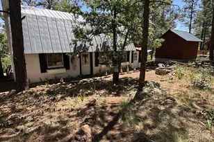 135 Spruce Dr, Mormon Lake, AZ 86038 - Photo 4