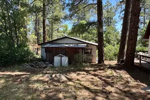 135 Spruce Dr, Mormon Lake, AZ 86038 - Photo 34