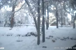 135 Spruce Dr, Mormon Lake, AZ 86038 - Photo 42