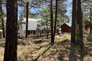 135 Spruce Dr, Mormon Lake, AZ 86038 - Photo 40