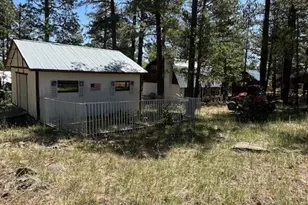 135 Spruce Dr, Mormon Lake, AZ 86038 - Photo 38