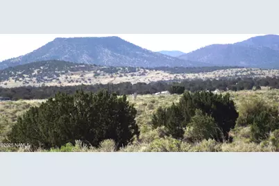 3725 S Carmen Road, Williams, AZ 86046 - Photo 1