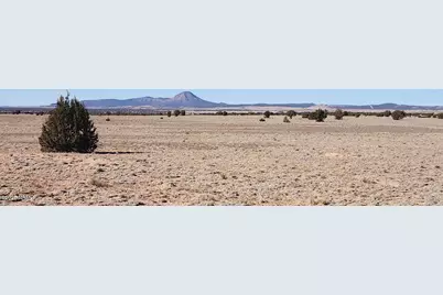 223 Picacho Butte Drive, Ash Fork, AZ 86320 - Photo 2