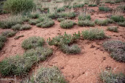 521 Big Spring Road, Williams, AZ 86046 - Photo 2