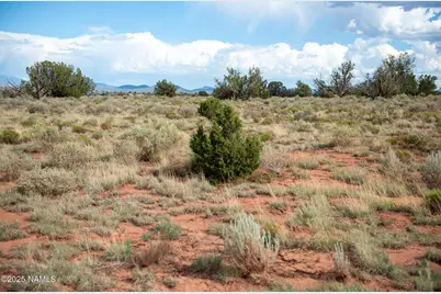 521 Big Spring Road, Williams, AZ 86046 - Photo 4