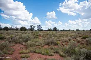 664 E Cimmaron Strip, Williams, AZ 86046 - Photo 1