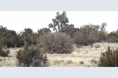 1255 W Half Hitch Road, Williams, AZ 86046 - Photo 1