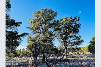 5390 N Windy Walk Way, Williams, AZ 86046 - Photo 2