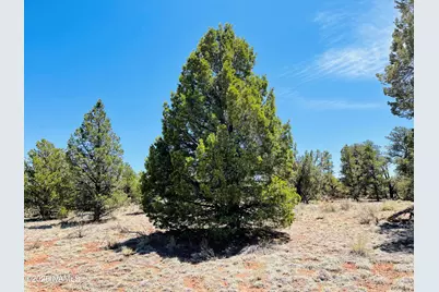 5390 N Windy Walk Way, Williams, AZ 86046 - Photo 8