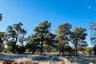 5390 N Windy Walk Way, Williams, AZ 86046 - Photo 1