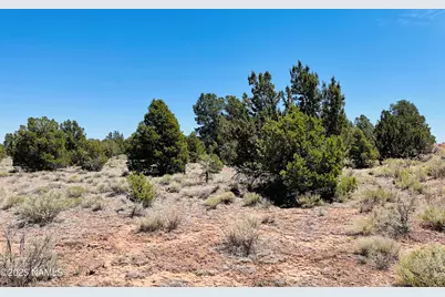 5390 N Windy Walk Way, Williams, AZ 86046 - Photo 4