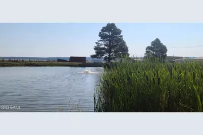 98 Aspen Drive, Mormon Lake, AZ 86038 - Photo 26