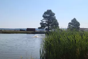 98 Aspen Dr, Mormon Lake, AZ 86038 - Photo 26