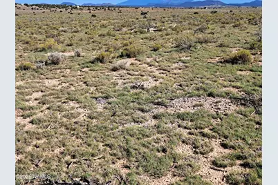 2705 S Cambridge Street, Williams, AZ 86046 - Photo 4