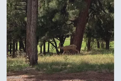 11 Anthem Drive, Williams, AZ 86046 - Photo 70