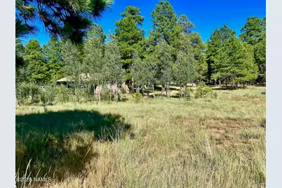 2283 Chisholm Trail, Flagstaff, AZ 86005 - Photo 36
