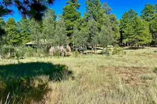 2283 Chisholm Trail, Flagstaff, AZ 86005 - Photo 36