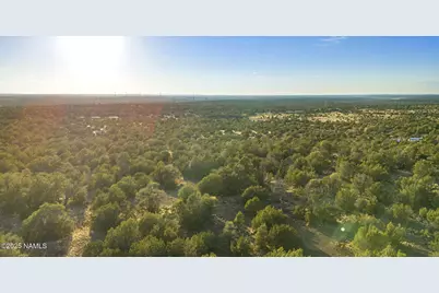 591 E Deerlick Trail, Williams, AZ 86046 - Photo 6