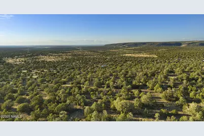 591 E Deerlick Trail, Williams, AZ 86046 - Photo 4
