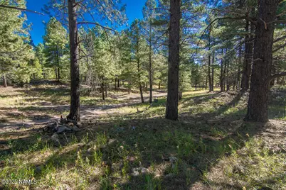 3148 Pioneer Trail, Flagstaff, AZ 86005 - Photo 106