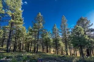 3148 Pioneer Trl, Flagstaff, AZ 86005 - Photo 104