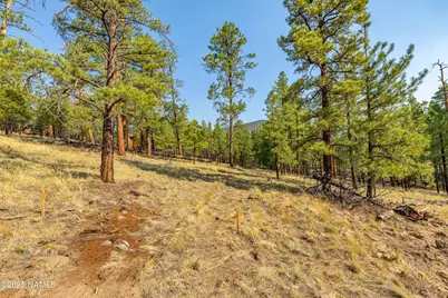 4195 N Subera Lane, Flagstaff, AZ 86001 - Photo 26