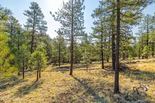 4195 N Subera Ln, Flagstaff, AZ 86001 - Photo 1