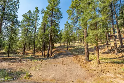 4195 N Subera Lane, Flagstaff, AZ 86001 - Photo 4