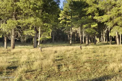 277 E Foxboro Ranch Road, Munds Park, AZ 86017 - Photo 16