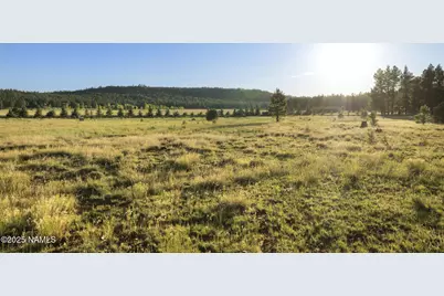 277 E Foxboro Ranch Road, Munds Park, AZ 86017 - Photo 10