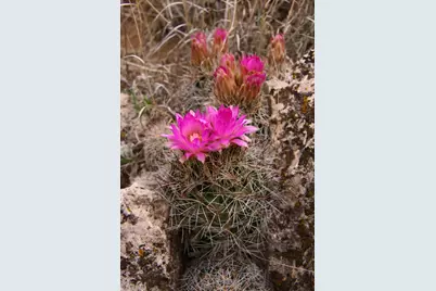 12899 Stockmens Road, Flagstaff, AZ 86004 - Photo 22