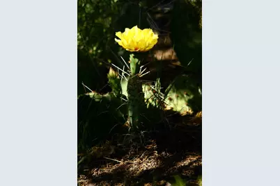 12899 Stockmens Road, Flagstaff, AZ 86004 - Photo 24