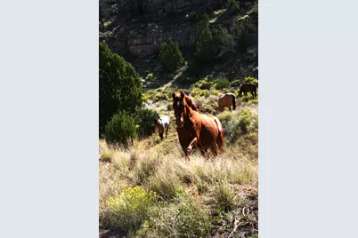 12899 Stockmens Road, Flagstaff, AZ 86004 - Photo 16