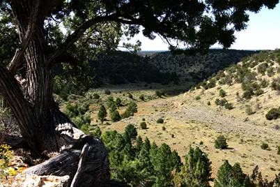 12899 Stockmens Road, Flagstaff, AZ 86004 - Photo 10