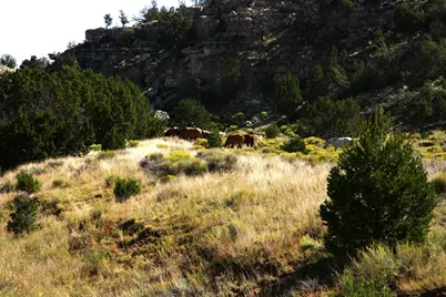 12899 Stockmens Road, Flagstaff, AZ 86004 - Photo 16