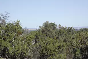 731 E Wampum Ln, Williams, AZ 86046 - Photo 1