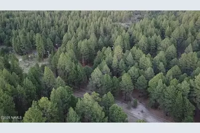 77 E Ski Run Road, Williams, AZ 86046 - Photo 4