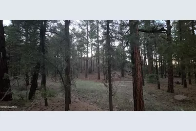 77 E Ski Run Road, Williams, AZ 86046 - Photo 6