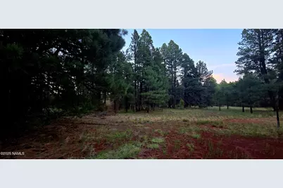 77 E Ski Run Road, Williams, AZ 86046 - Photo 2