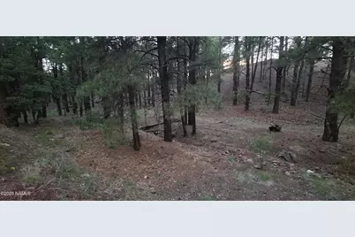 155 E Ski Run Road, Williams, AZ 86046 - Photo 6