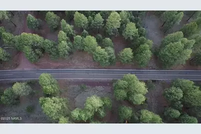 155 E Ski Run Road, Williams, AZ 86046 - Photo 2