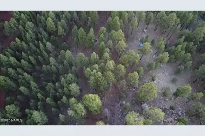 155 E Ski Run Road, Williams, AZ 86046 - Photo 14