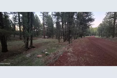 155 E Ski Run Road, Williams, AZ 86046 - Photo 4