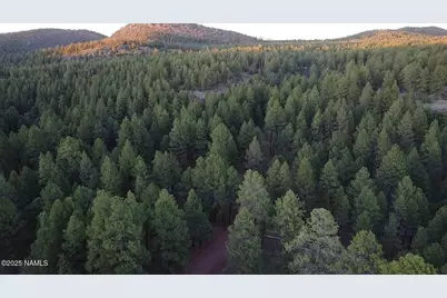 155 E Ski Run Road, Williams, AZ 86046 - Photo 8