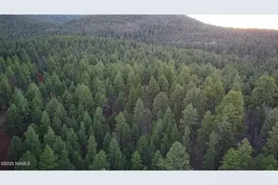 155 E Ski Run Road, Williams, AZ 86046 - Photo 10