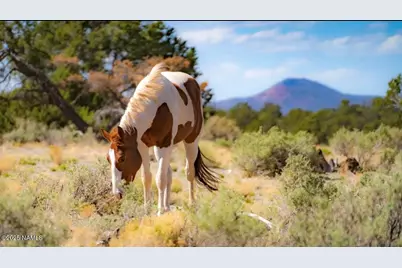 938 N Spruce Road, Williams, AZ 86046 - Photo 8